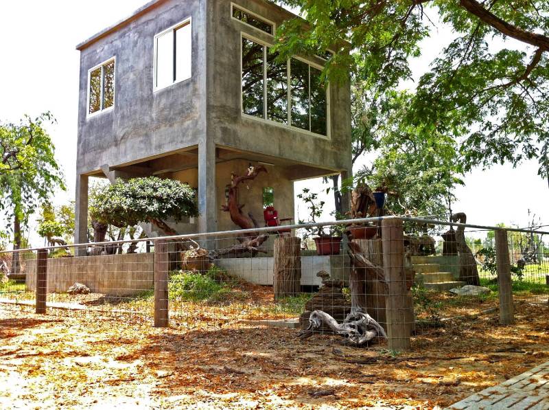 5 ไอเดียทำรั้วบ้านตาข่ายสวยๆ