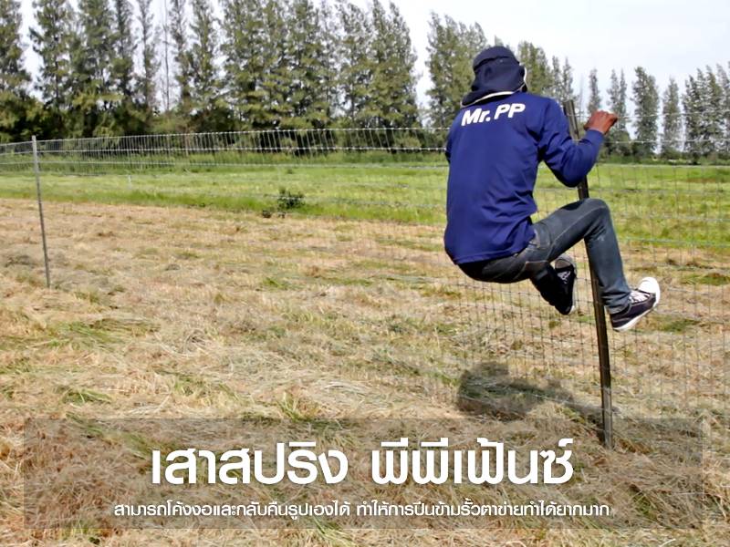 ชุดเสาสปริงรับแรง