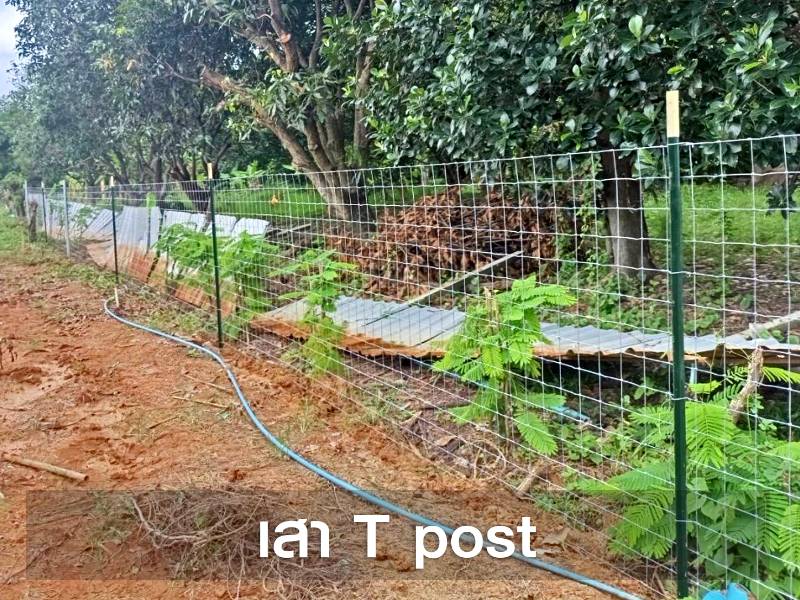 ชุดเสาสปริงรับแรง