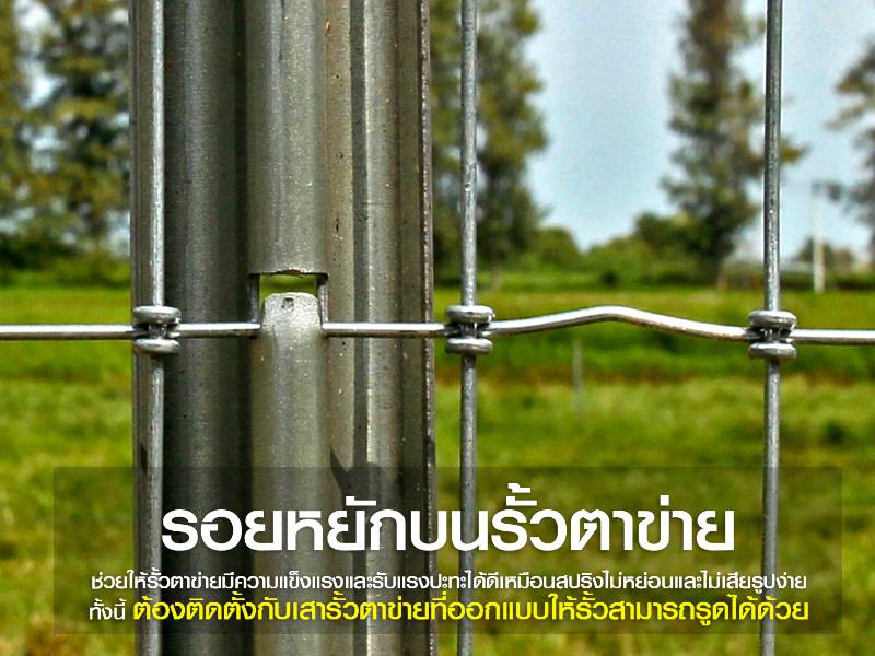 เสารั้วตาข่าย