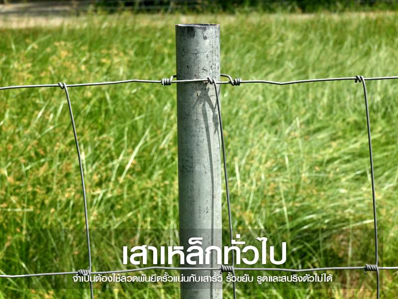 เสารั้วตาข่าย
