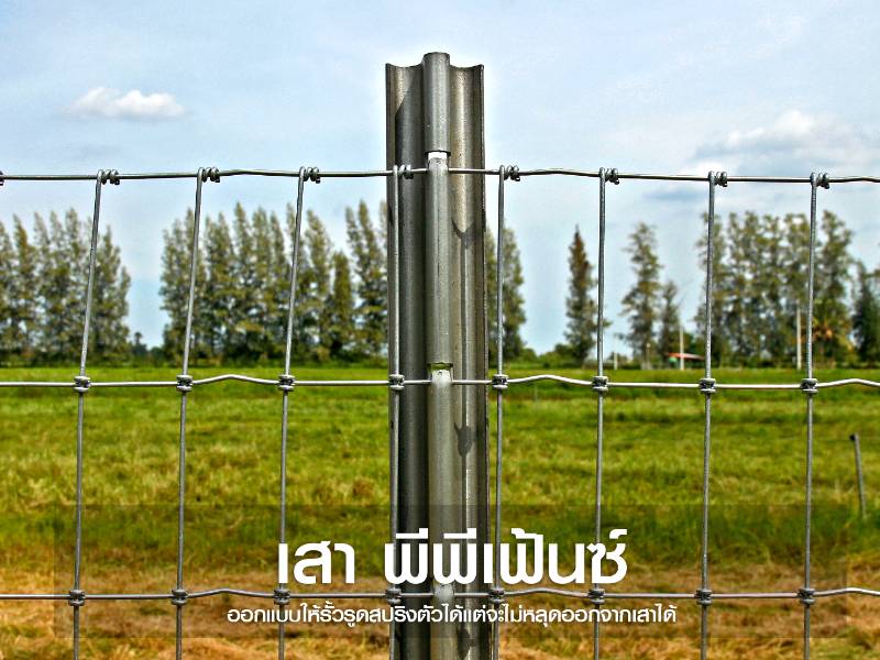 เสารั้วตาข่าย