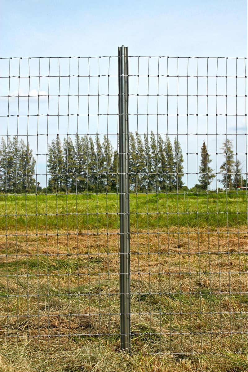 เสาสปริง PP Fence (พีพีเฟ้นซ์)