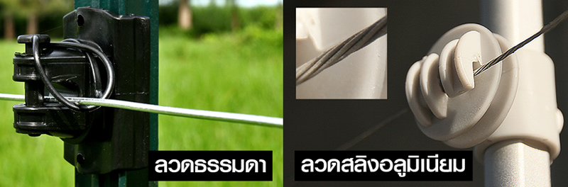 รั้วกันขโมย