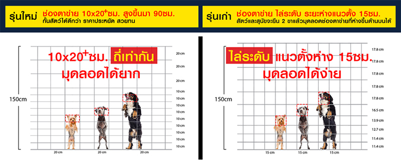 รั้วกันสุนัข