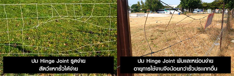 รั้วกันสุนัข