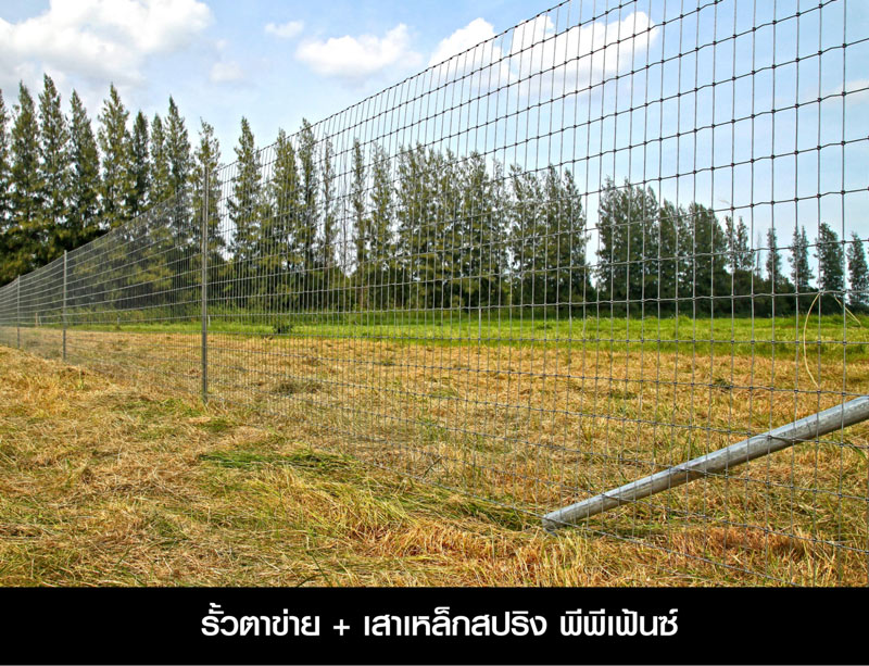 รั้วฟาร์ม