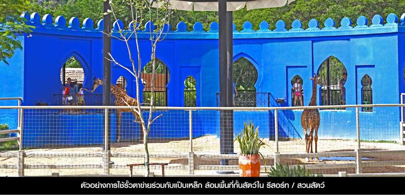 รั้วฟาร์ม
