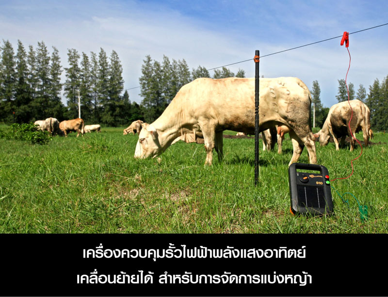 รั้วฟาร์ม