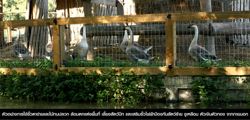 รั้วฟาร์ม
