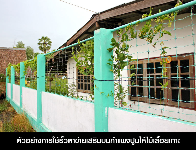 รั้วฟาร์ม