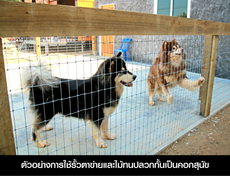 รั้วฟาร์ม