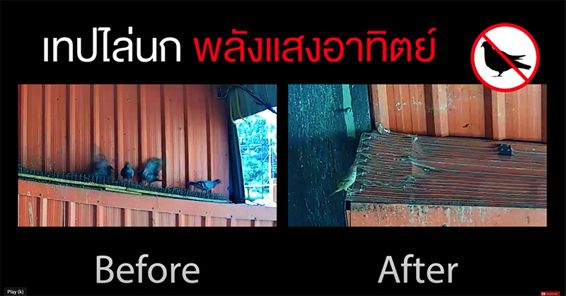 ข้อดีของการใช้เทปไล่นกพลังแสงอาทิตย์