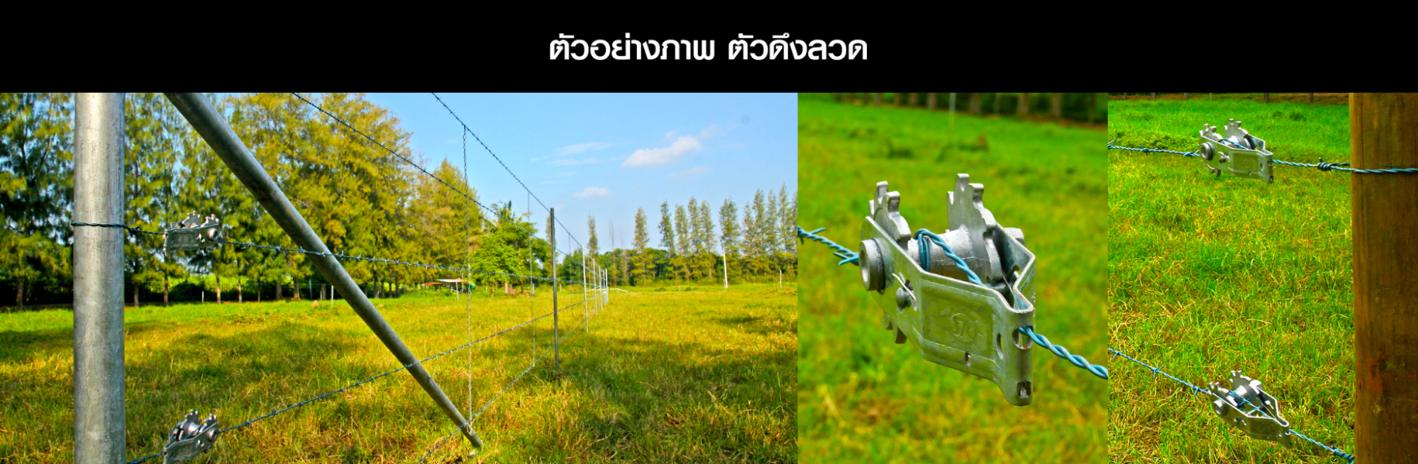 รั้วลวดหนาม ตัวดึงลวด