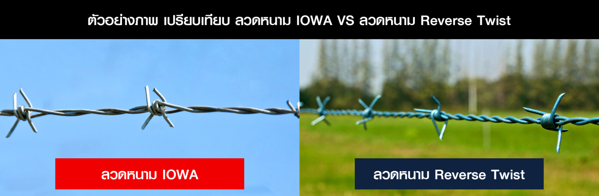 เทคโนโลยี Reversed Twisted