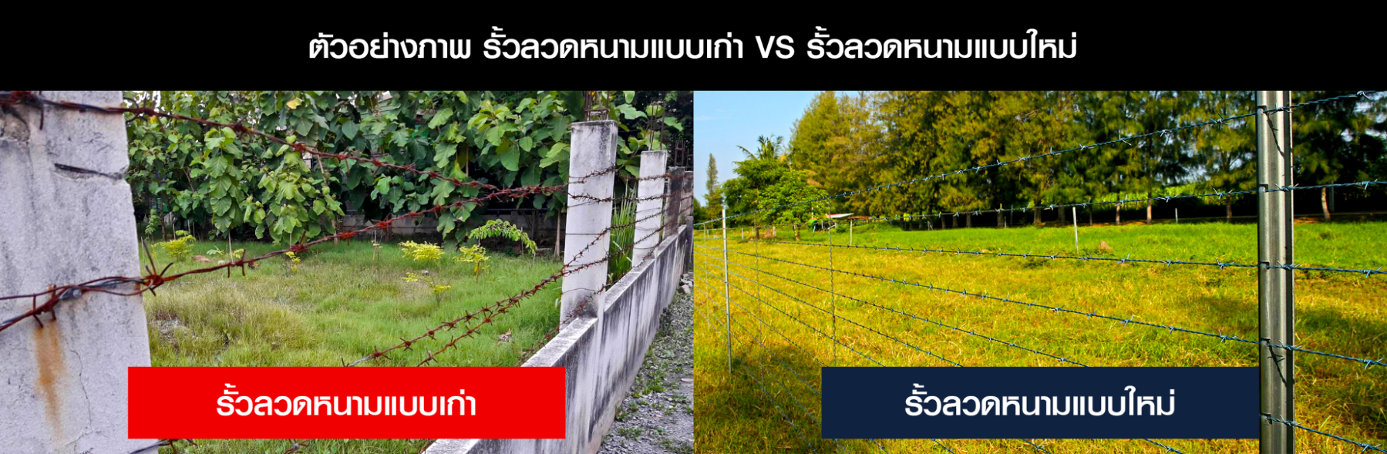 รั้วลวดหนาม