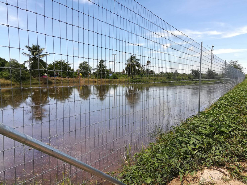 รั้วตาข่ายมีอายุการใช้งานกี่ปี?