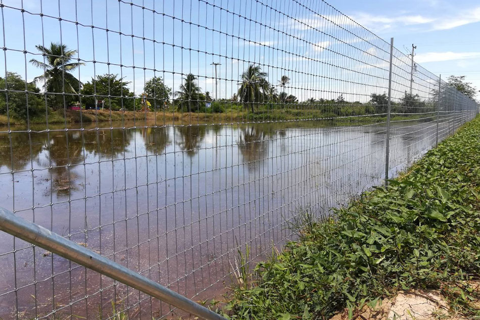 รั้วตาข่าย