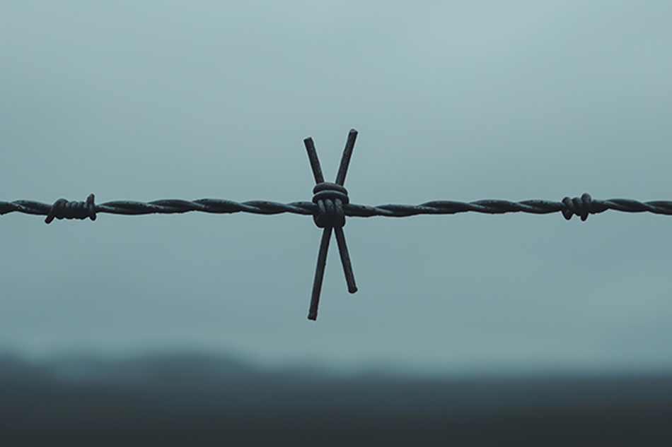 รั้วลวดหนาม
