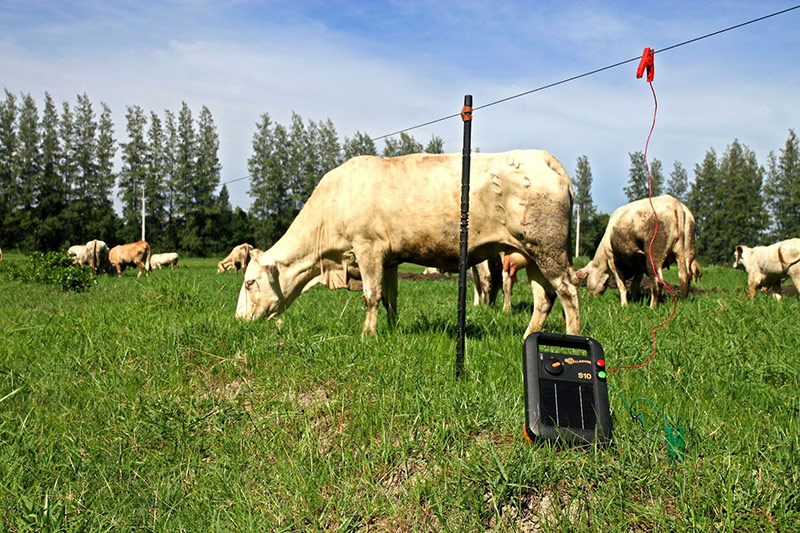 แนวโน้มในอนาคตของรั้วไฟฟ้าและรั้วไฟฟ้าพลังงานแสงอาทิตย์